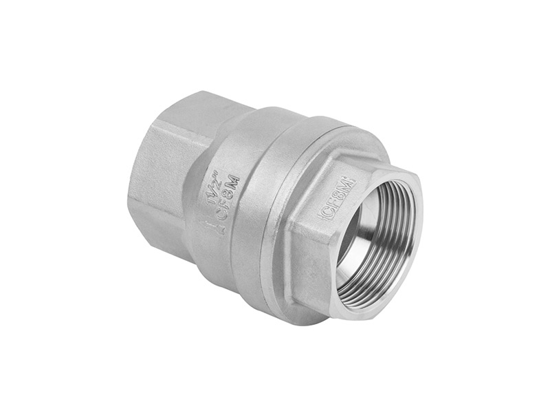 Stainless steel vertical spring check valve