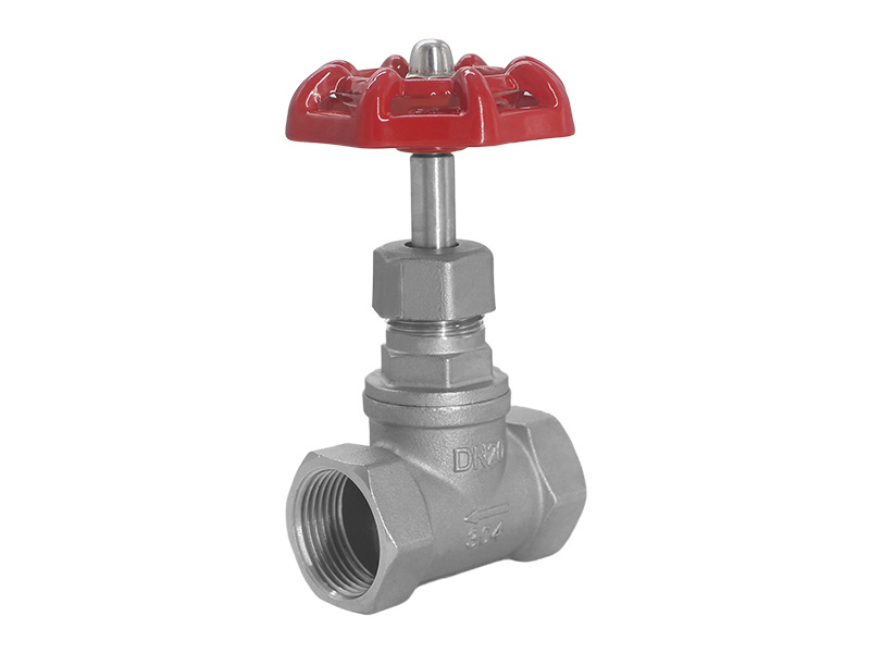 Stainless steel globe valve water heating type