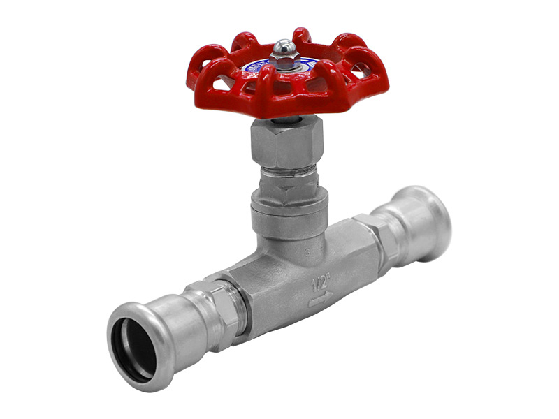 Stainless steel clamped globe valve