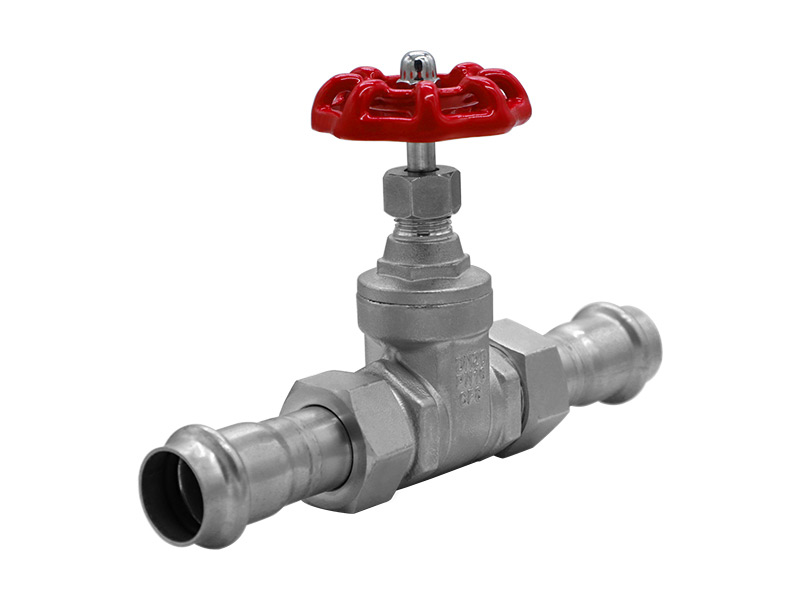 Stainless steel clamped gate valve