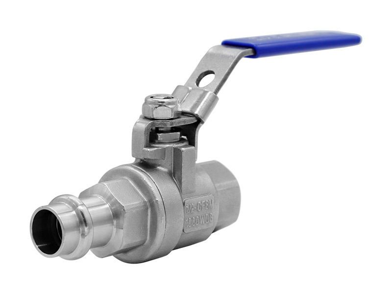 Stainless steel clamping ball valve