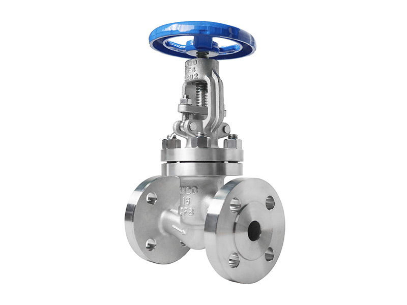 Stainless steel flange globe valve
