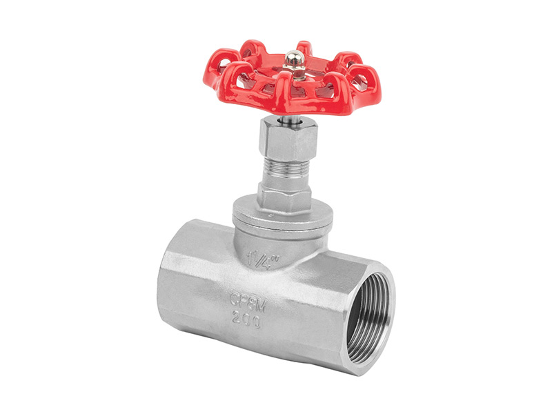 Stainless steel globe valve